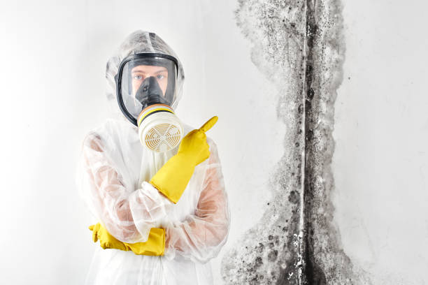 Biohazard Mold Removal